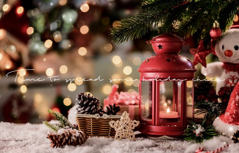 九種最美麗的室內聖誕植物及其照顧方法