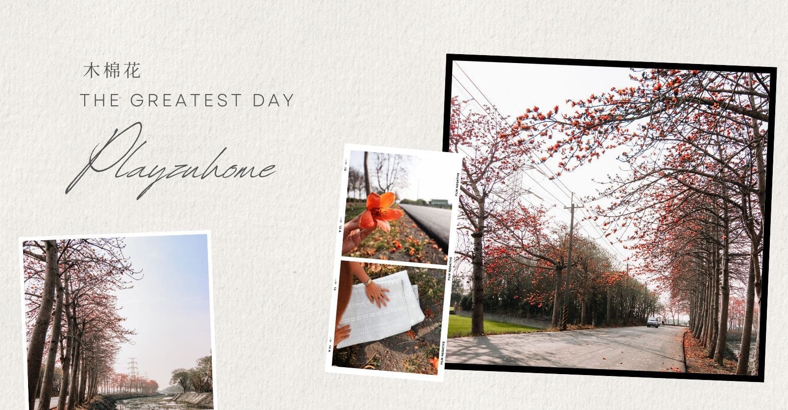 【PLAYZU 風格野餐墊 × 彰化絕美木棉花海】教你如何打造浪漫野餐之旅