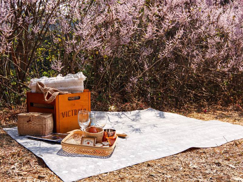 PLAYZU波希米亞野餐墊ft.南投中寮鄉廣興村瑰蜜甜心玫瑰園