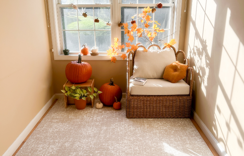 ｜秋日序曲｜在靜謐中收藏溫暖，打造療癒居家氛圍的秋季生活指南